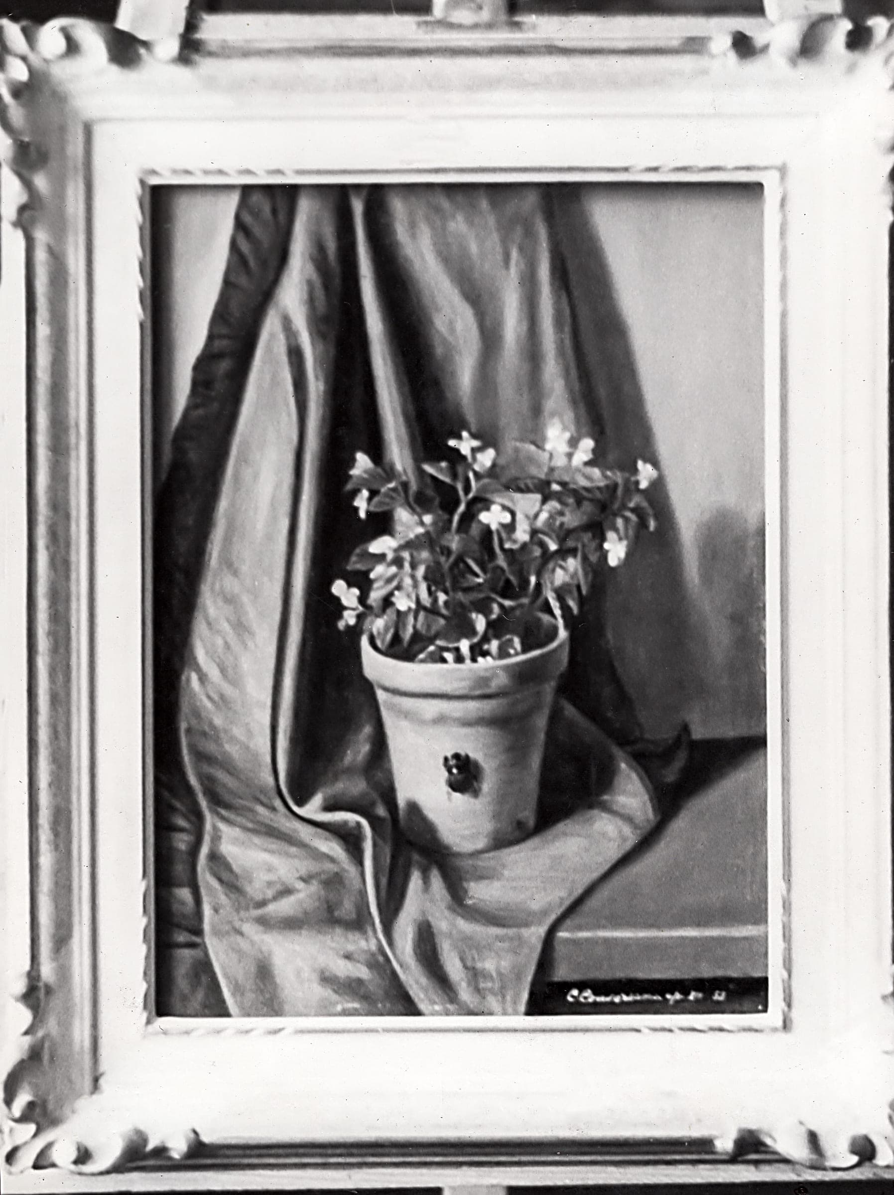 Begonia, 1958 — dipinto di Carmine Conversano