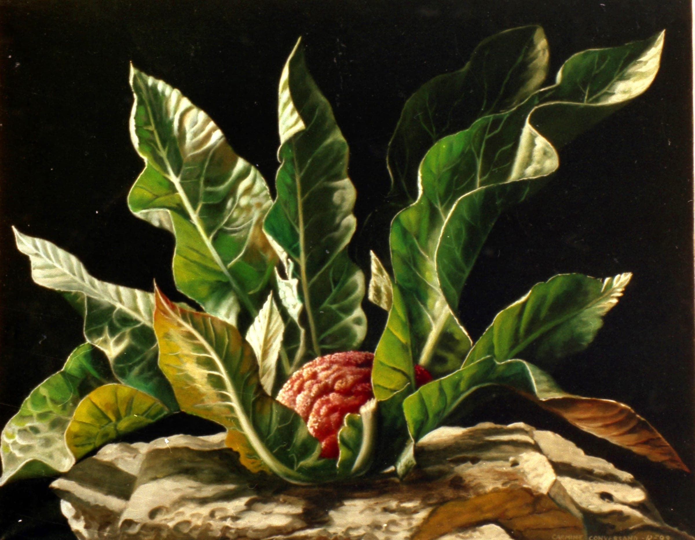 Verso la luce, 1999 — dipinto di Carmine Conversano