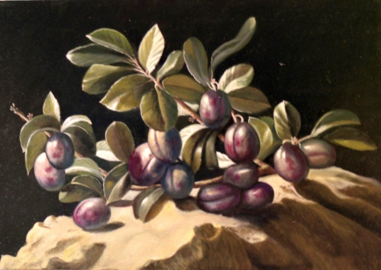 Susine su pietra, 2000 — dipinto di Carmine Conversano