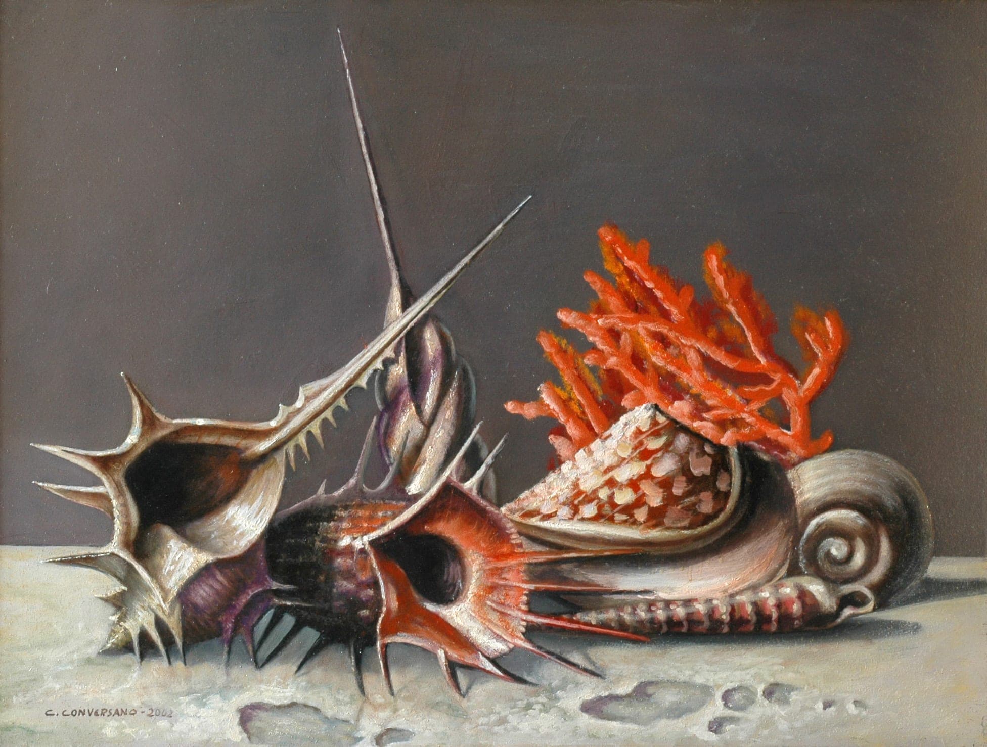 Conchiglie, 2002 — dipinto di Carmine Conversano